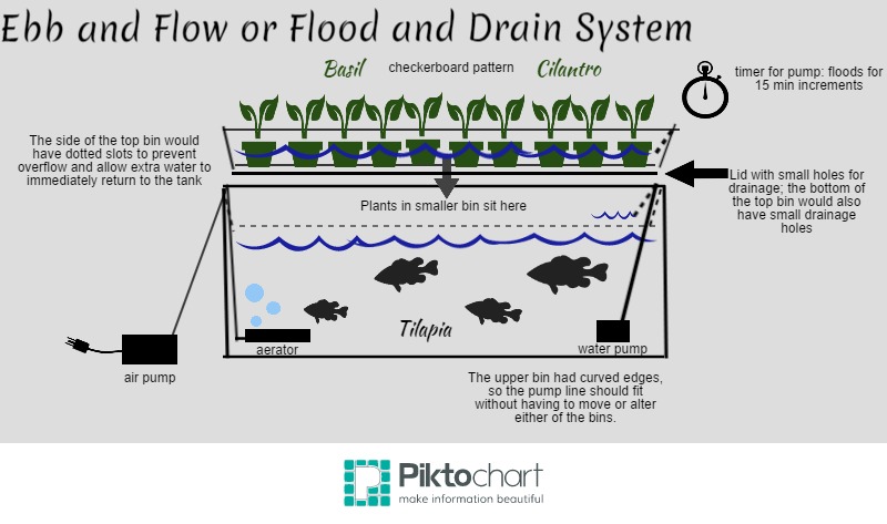 jerry : aquaponics continuous flow vs flood and drain
